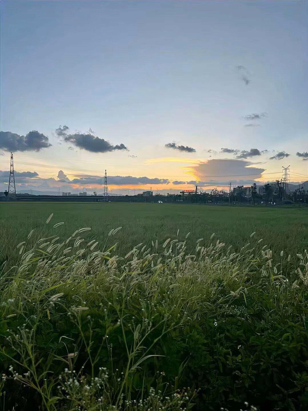今日运势：丙午年丙申月癸未日2026.9.6日鼠：大吉努力工作牛：小凶