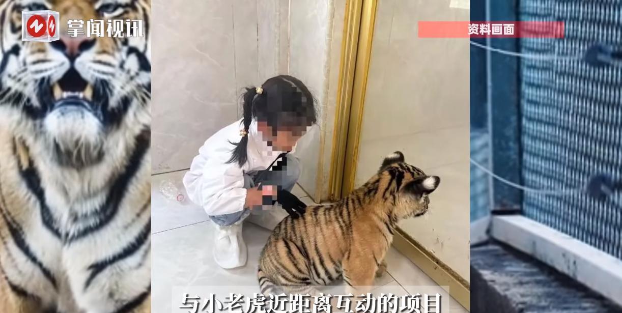 “心太大了！”8月30日，广西贵港，一位母亲为了让7岁的女儿体验野生动物，竟花钱