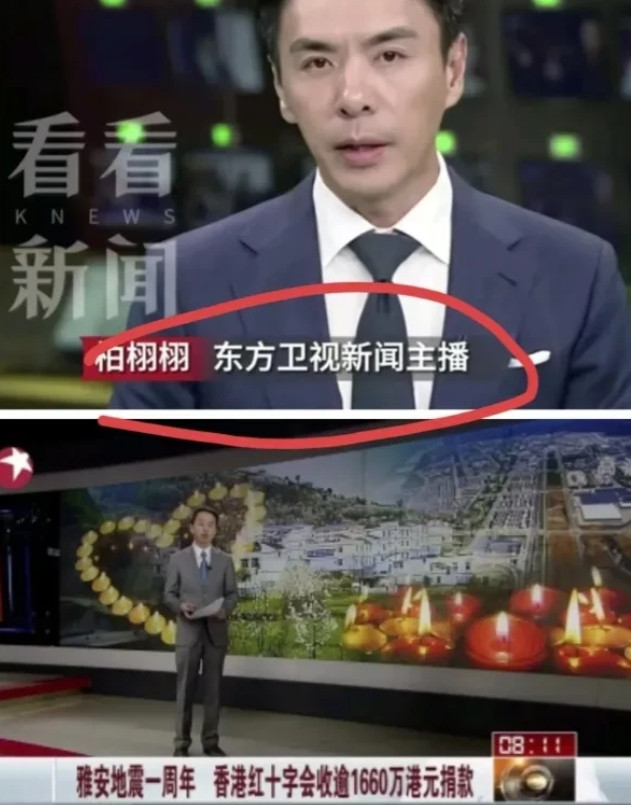想低调都不行了。连东方卫视都下场了。上海东方卫视不仅报道了，还提出了3个犀