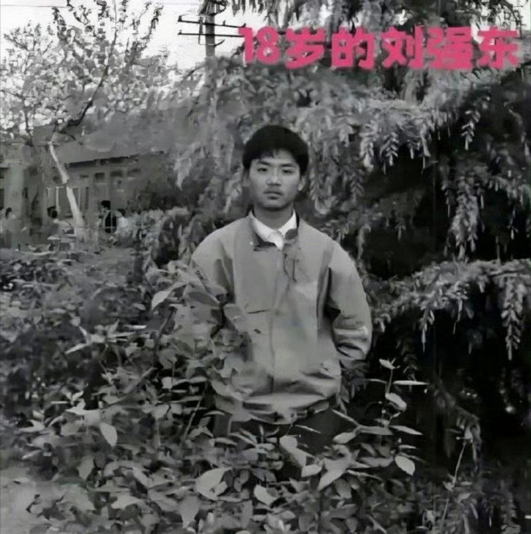 为了泡到章泽天，刘强东一使劲考上了人大