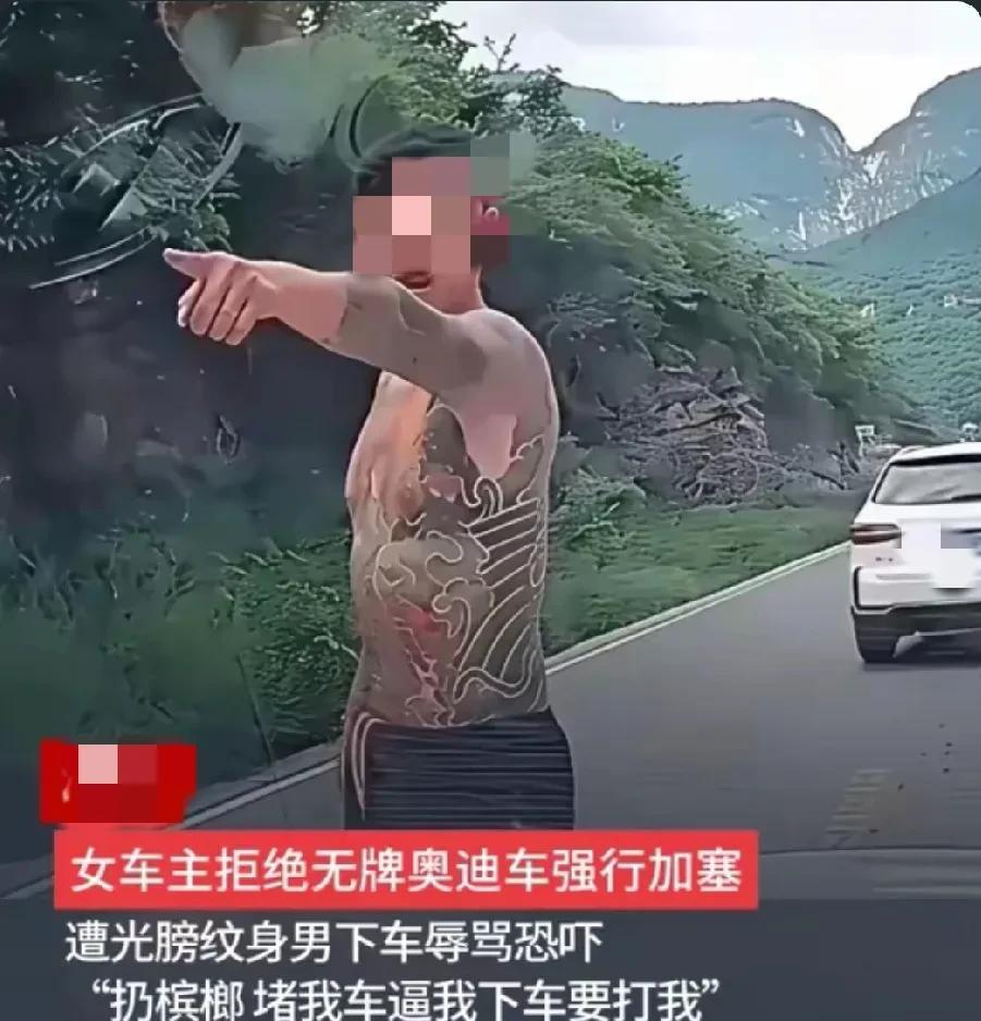 晋城警方好样的，给全国带了一个好头，利用人脸识别系统，锁定骂人者，像“昆山龙