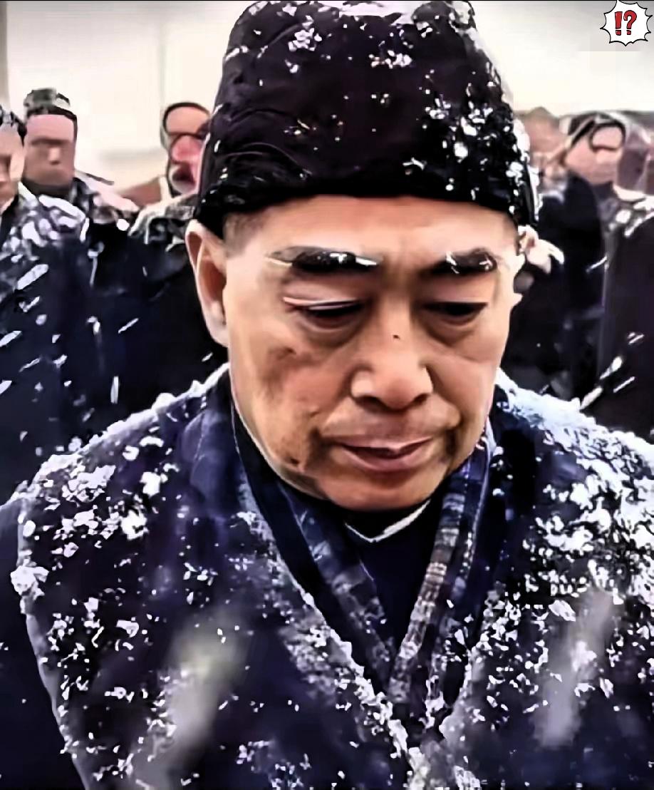 风雪忠魂,盛世如愿1958年大年三十,北风呼啸、大雪纷飞,周恩来总理与陈毅元