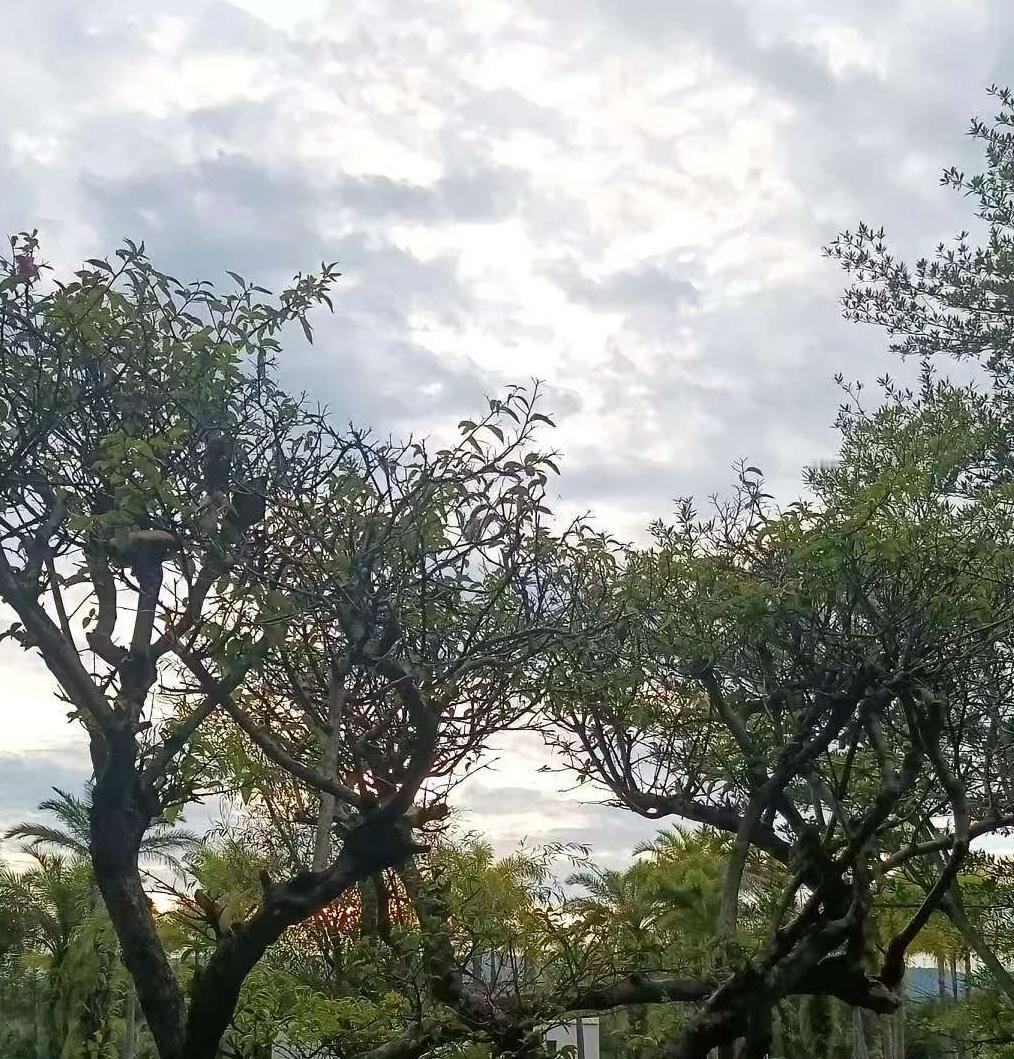 我是真服我老公了，今年都52岁的老公52岁，每隔两天就要同房一次，不答应