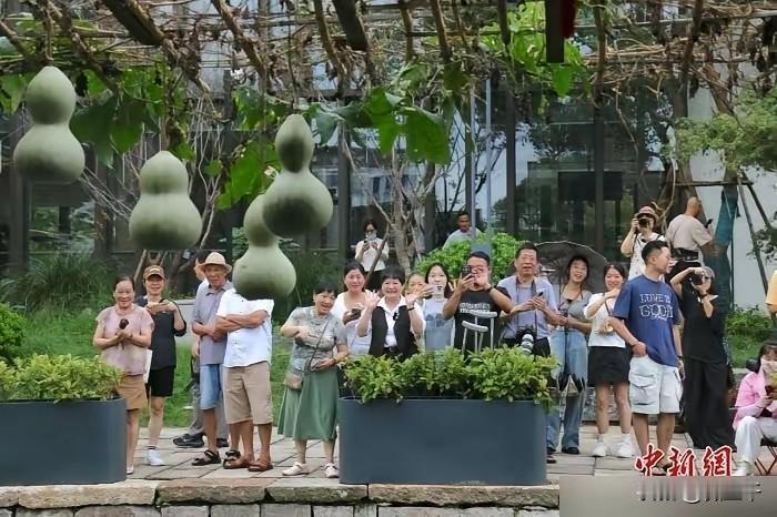 可惜了，只能说，绍兴文旅缺少统揽大局的人。先看图1，这是正规媒体专门从老爷子