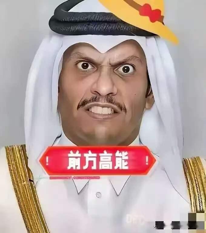 卡塔尔发布声明7月17日，卡塔尔国际媒体办公室7月16日发声明，狠狠驳斥以色列
