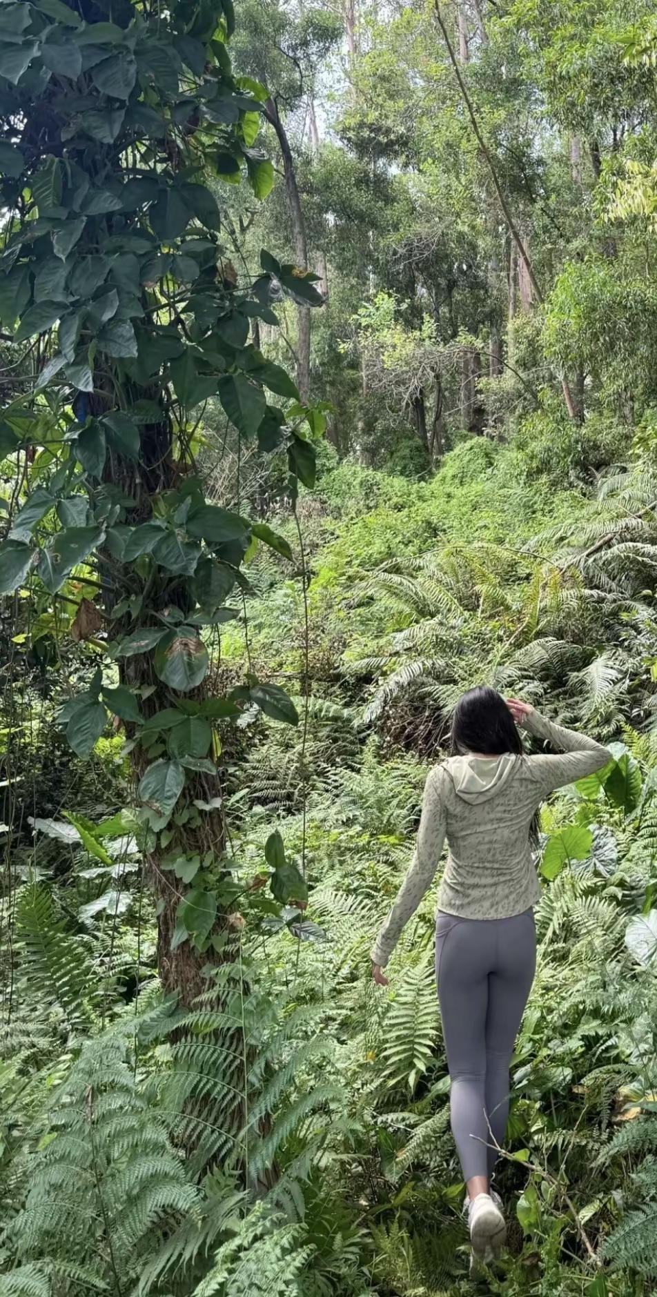 户外徒步徒步登山风景秀丽自然美景爬山⛰️爬山推荐