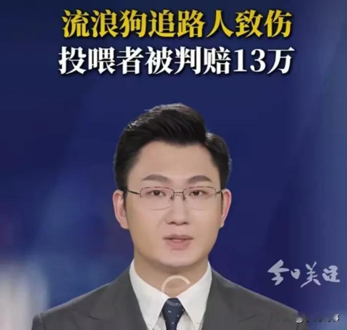 大快人心！新疆法院判了：长期喂流浪狗伤人，直接赔偿13万！长期投喂就等于