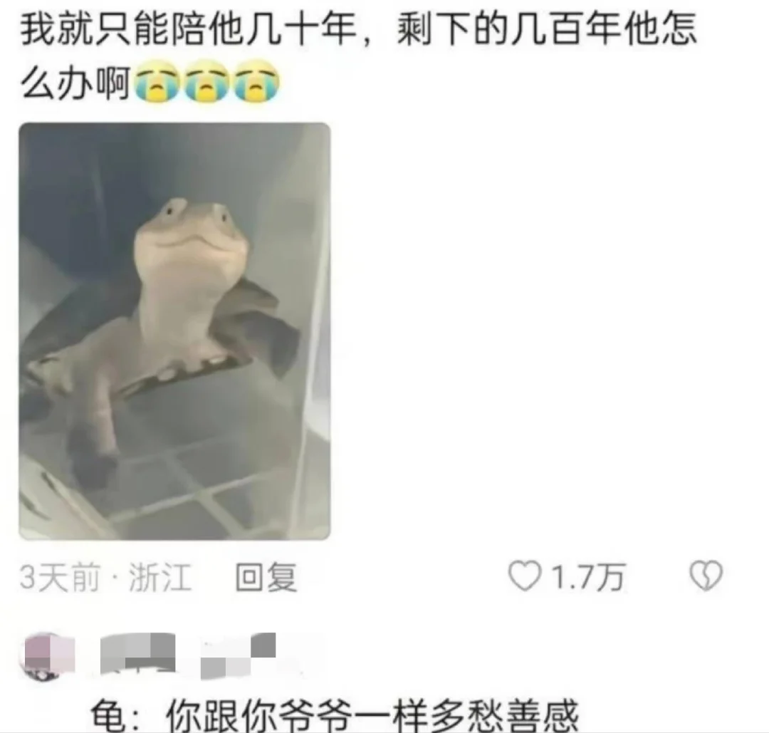 怎么那么有才哈哈哈哈