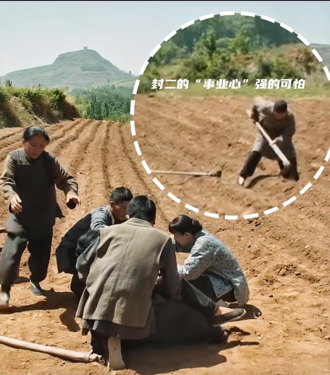 《生万物》导演快给林永健老师加钱吧！日子真不是跟谁过都一样。这同样的戏，果然