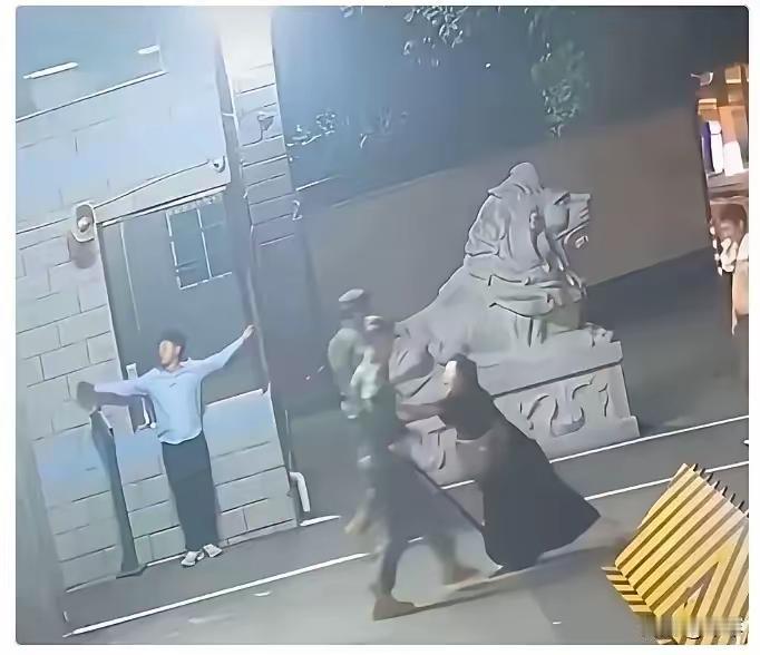 大快人心，四川广元推执勤哨兵的黑衣女子，被刑事拘留。涉事6人已被警方全部带走