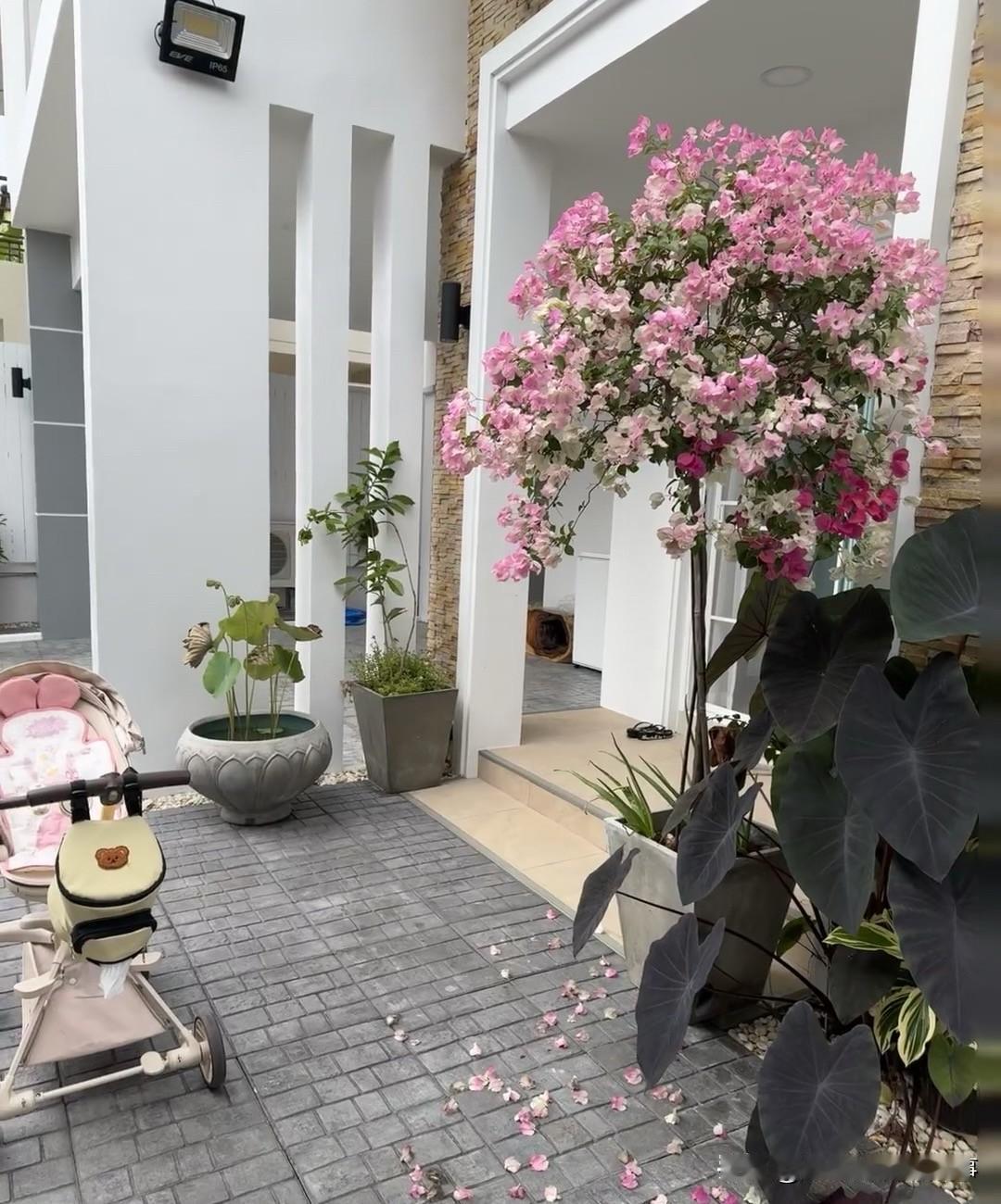 国外的房东怎么会都这么有趣？来泰国10天后房东又回国了留下了她的别墅🏠和