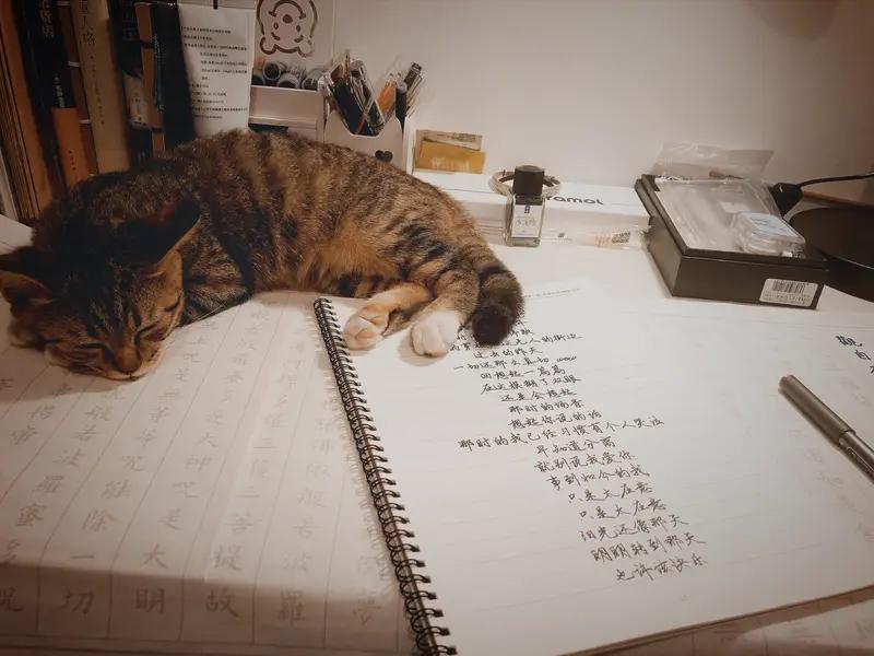上联：一窗风月无人共下联：半卷诗书只影孤。