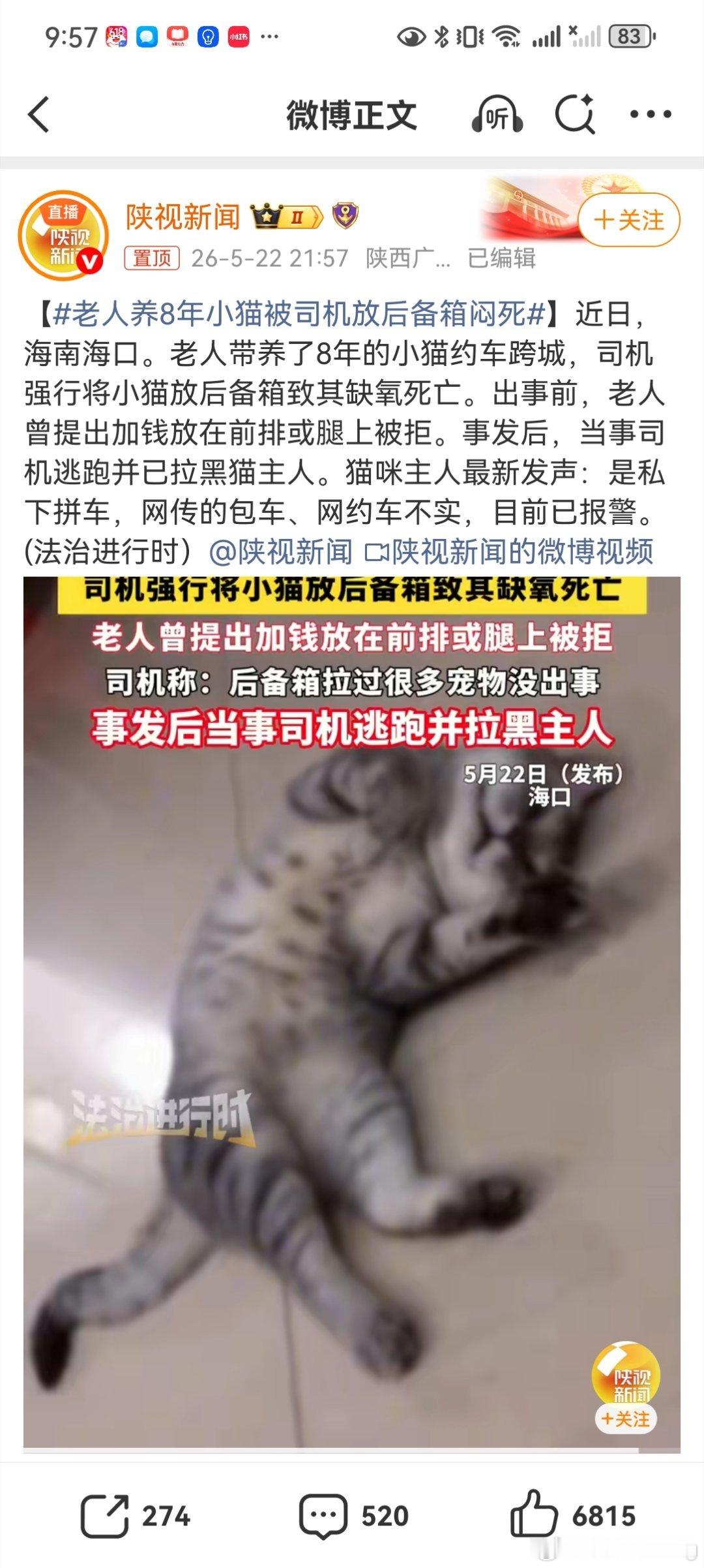 网约车司机闷死小猫后跑路拉黑事件梳理：老人带养了8年的猫跨城，司机拒绝加钱放前排