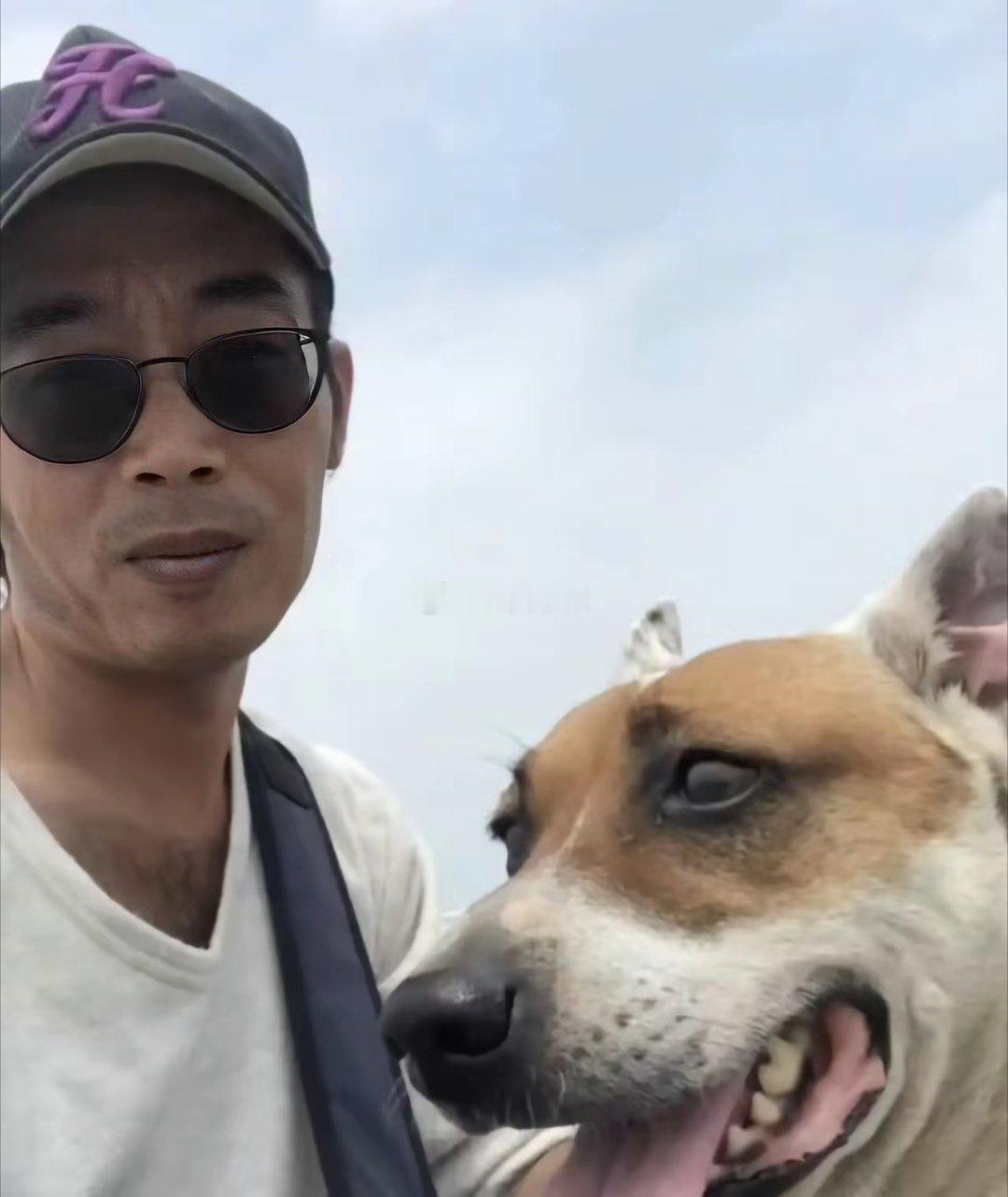 一个男人用他死去的狗每天捡来的树枝，重新拼成了它的形象​​​