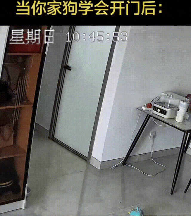 自助餐开饭啦！