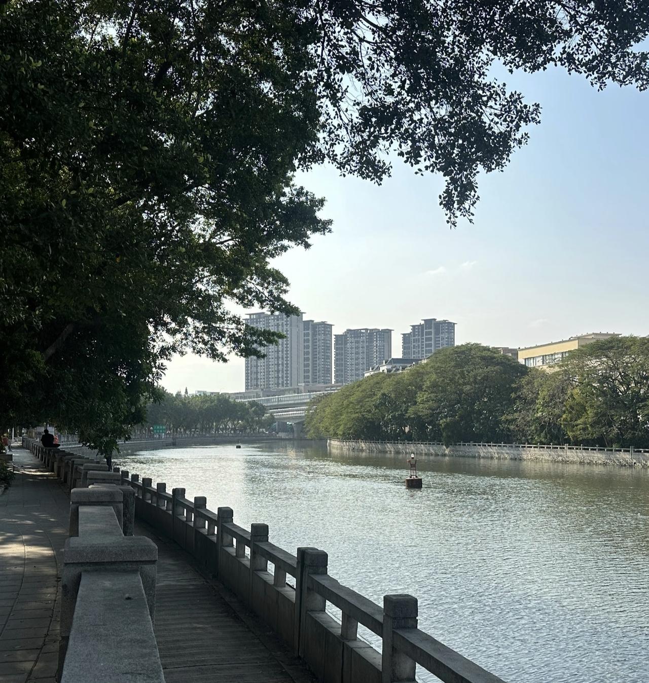 沿着江边步道慢慢走，阳光穿过浓密的树叶，在木质栈道上落下细碎的光斑。江水泛着粼粼