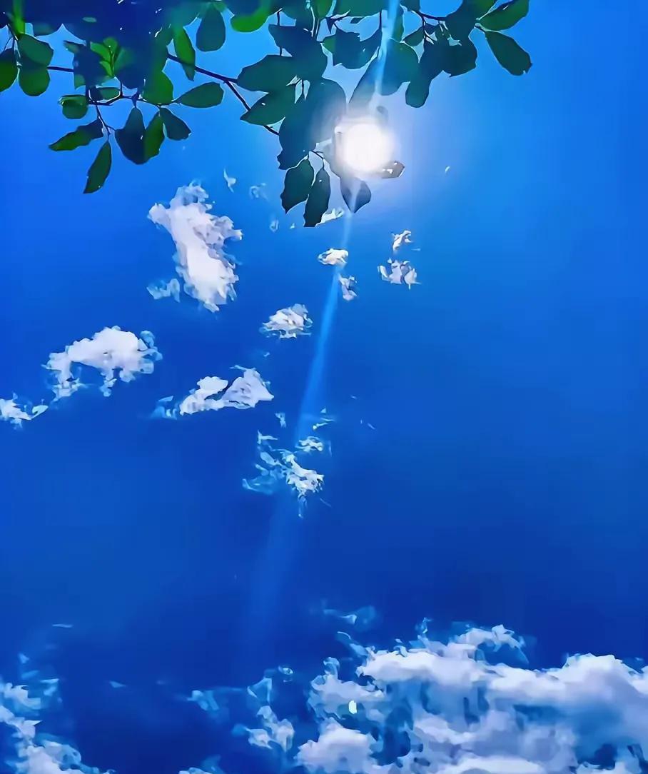 七绝·蓝天白云蕴祥瑞文/方立新蓝天宝石艳阳骄，绿叶青枝望九霄。蕴藉祥和盈
