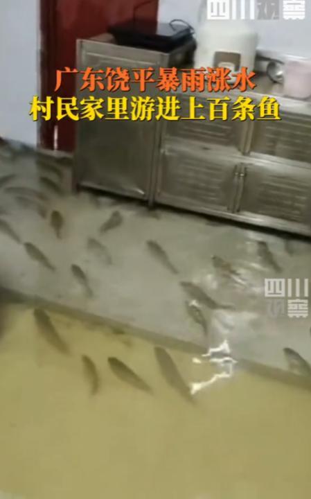 “这就是命啊！”7月22日，广东潮州，因为有台风，男子就一直在家没出门，不料，上