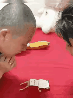 小学生的看图作文：卧龙凤雏夫妻的日常生活——论如何正确做俯卧撑？有一天小明