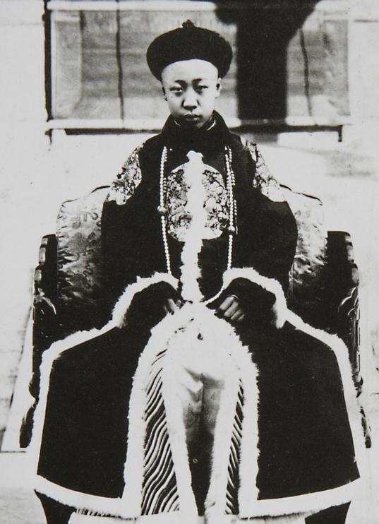 1967年10月17日，溥仪在北京因病去世后，他的家人不知道该以何种规格来安葬溥
