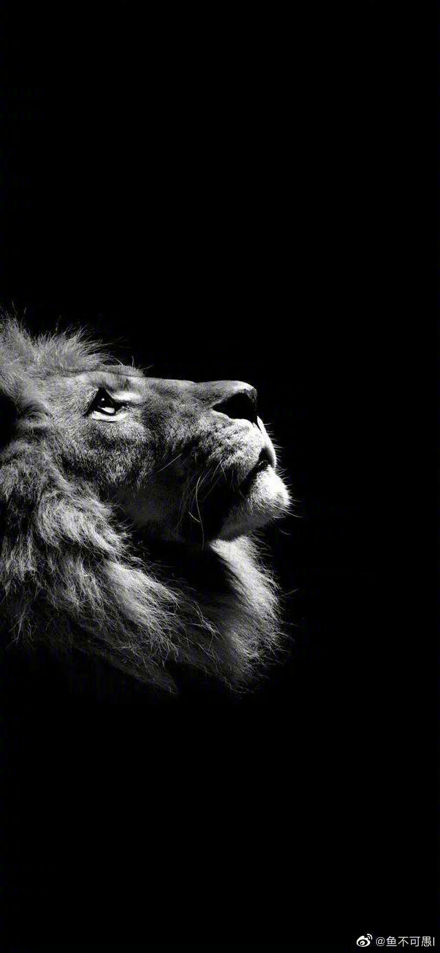 不是拿生命来做一点啥，而是拿什么来滋养生命。人们似乎必须要拿半生的时间，才能回到