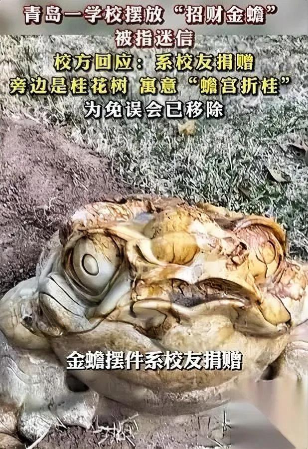 青岛那只金蟾被移走了居然栽在了一场莫名其妙的举报上。本来是校友捐给学