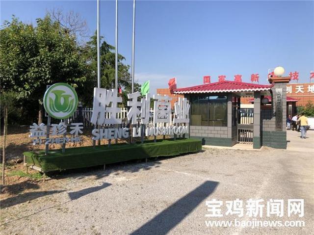 宝鸡农业产业化方面的又一个重要跨越，食用菌年产量超过8000万公斤。宝鸡食用