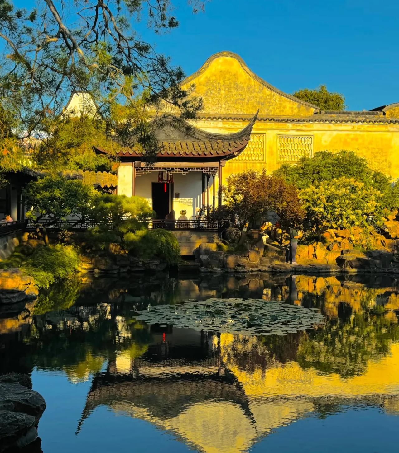 秋景丨江南水乡秋风轻抚水乡岸，古镇悠悠梦初长。石板路边黄叶舞，小桥流水映