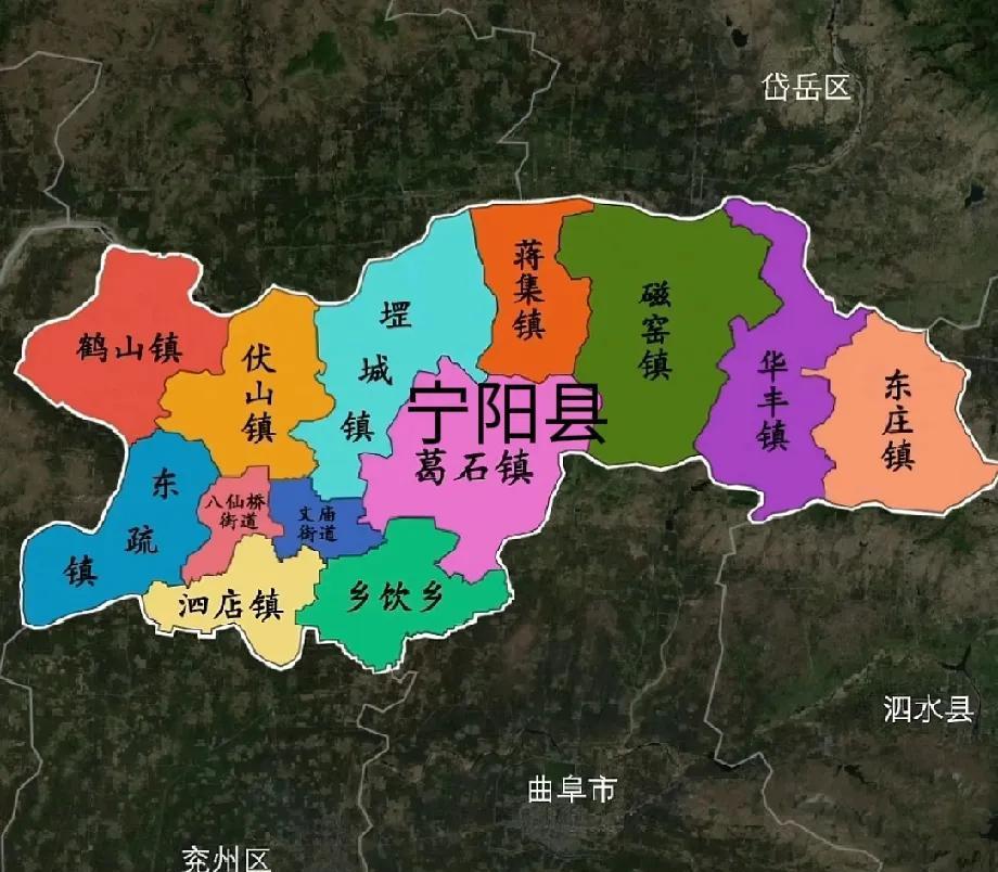 台大教授苑举正老家是泰安市宁阳县泗店镇大柳楼村，为什么总有人以为他是济宁或者曲阜