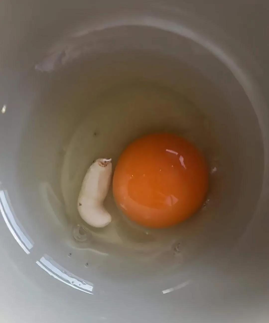 [惊恐]这个白色的是什么？
