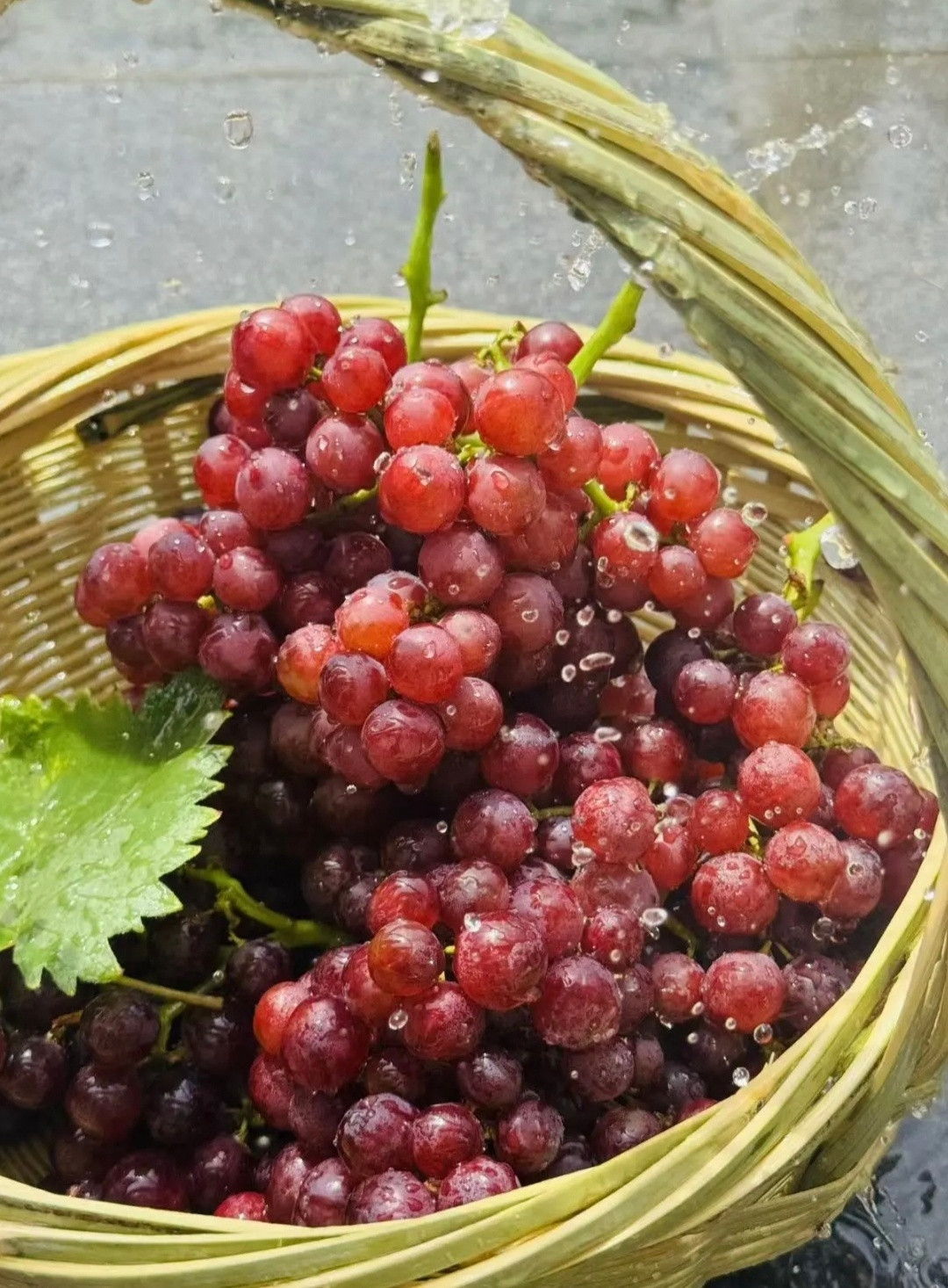 请你吃葡萄🍇