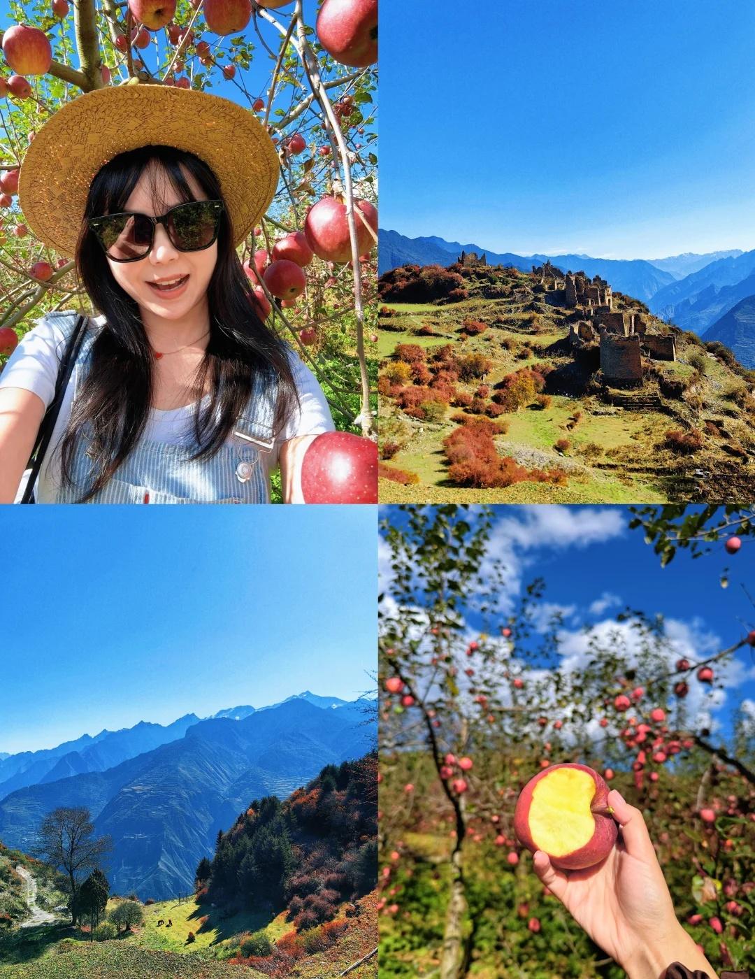 成都周边赏秋🍁九子屯一日徒步摘苹果🍎本想去成都周边赏秋徒步🍁结果误打误