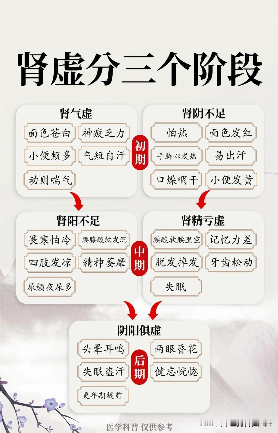 【肾虚分为三个阶段】