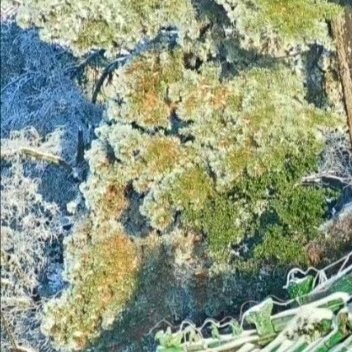 每日一善阳光信用每日一善如果你不相信努力，那么时光第一个就会辜负你。努力了才