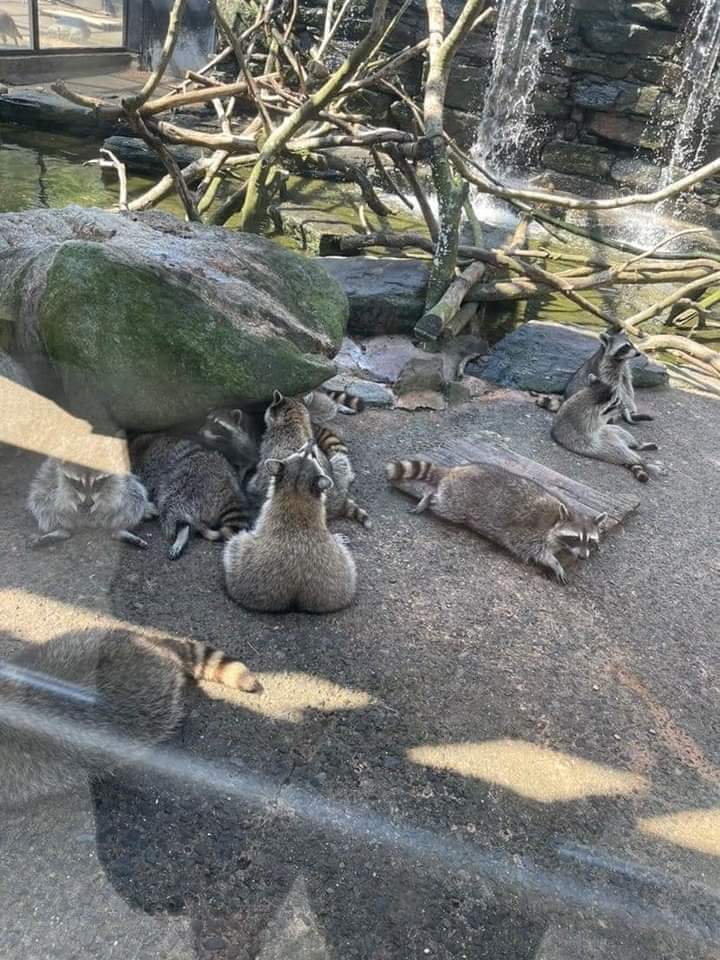 不，不可以，想也别想