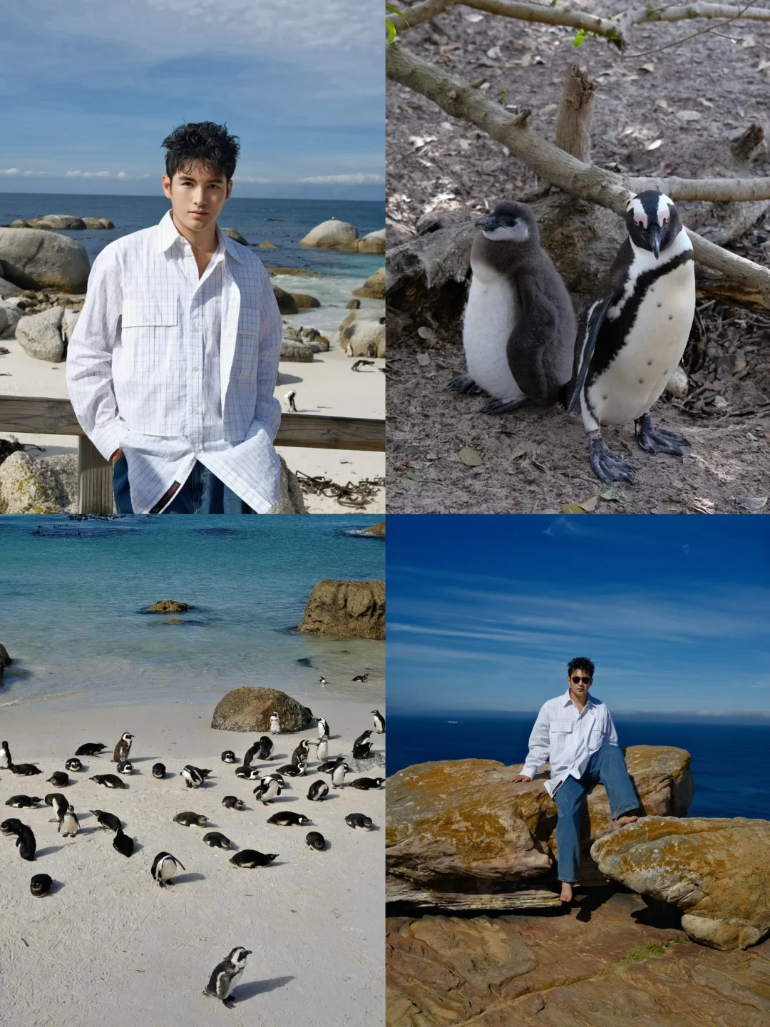 最可爱的沙滩🏝️🐧🐧🐧