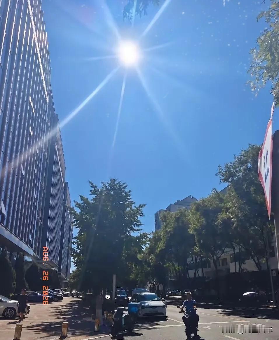 大家有没有发觉今年秋老虎太反常？今天8月26号，处暑都过去四天了，老话说处暑过