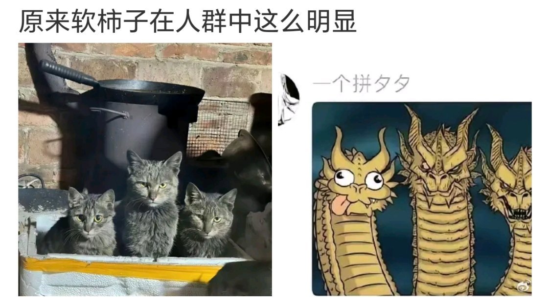 这很冷知识了猫圆眼的时候是攻击的状态，眯着眼，反倒是放松的状态​​​