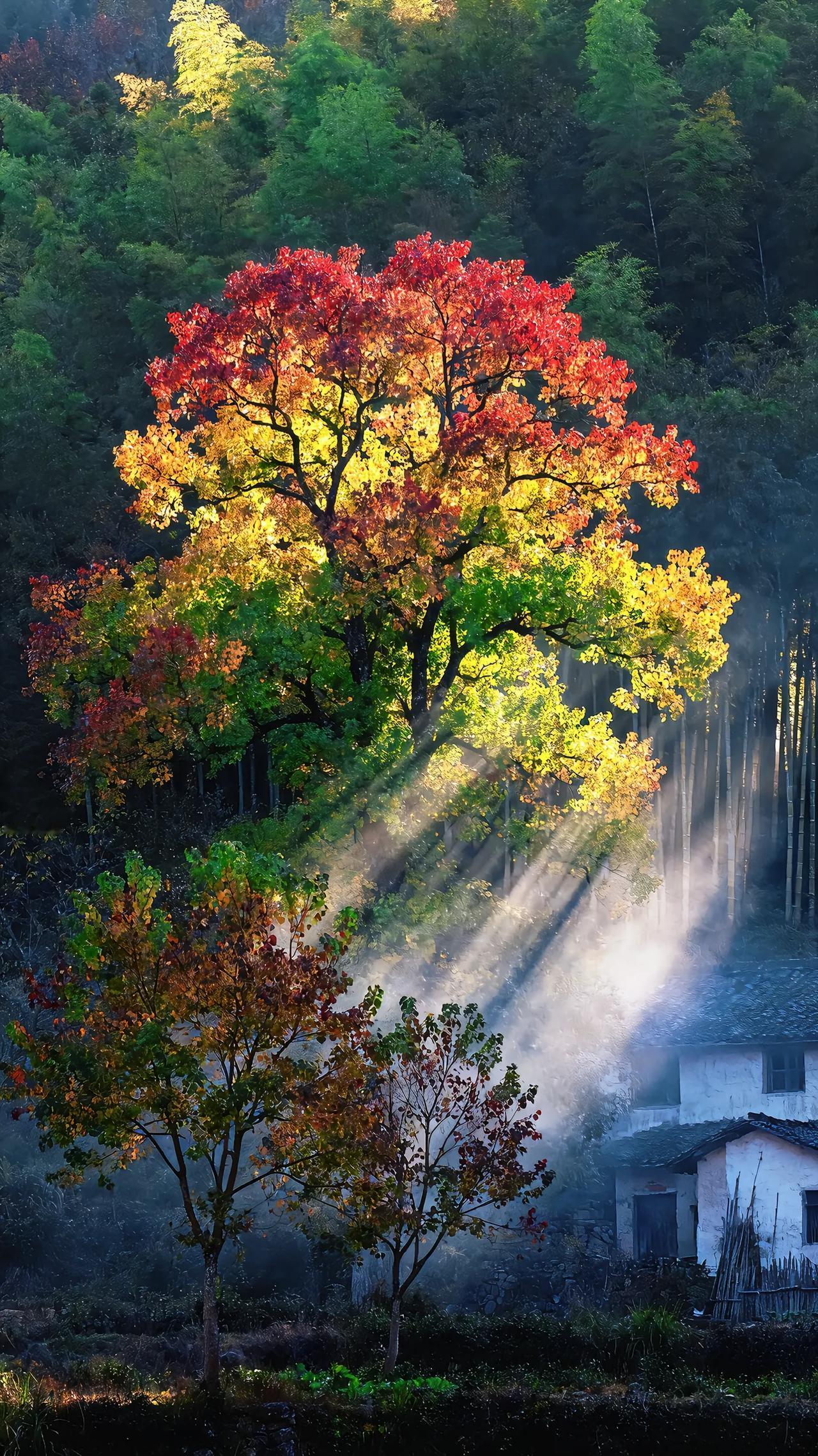 昨天一天碰到两位学生家长，一个学生是南外仙林的，父母都是东南大学毕业的。另外一个