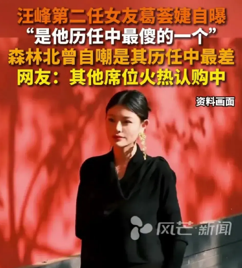 汪峰又翻来覆去睡不着了！他实在想不通，他其他几任都没有出来发言，居然第二任会