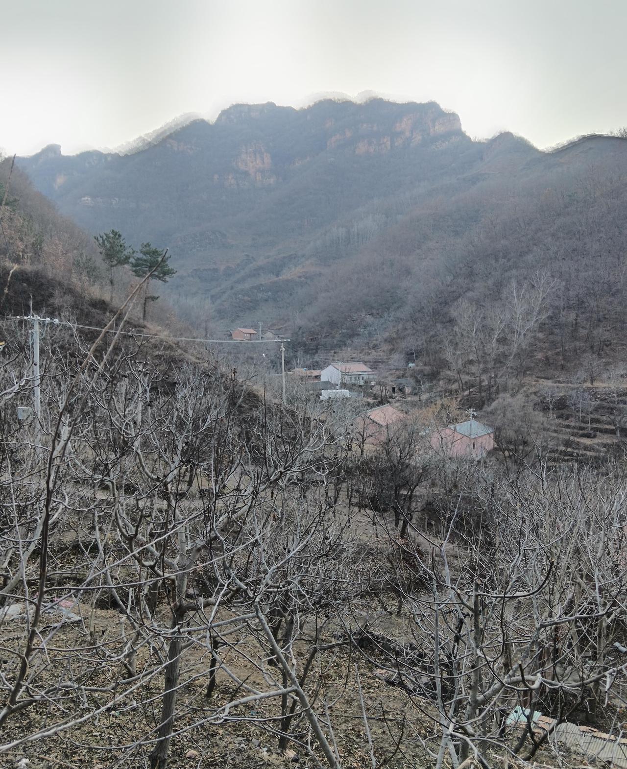 我是一个老太太今年六十岁，百年不遇的事，昨天我老头我俩半宿没睡觉，我老头还冻感冒