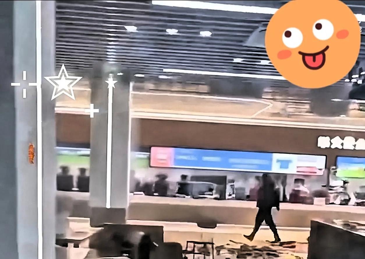 吉林那个大学食堂砸店的视频，真看得人火大。一男的捧着花当众表白，人家姑娘根本没露