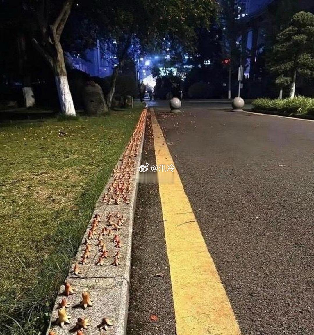 这人得多无聊啊