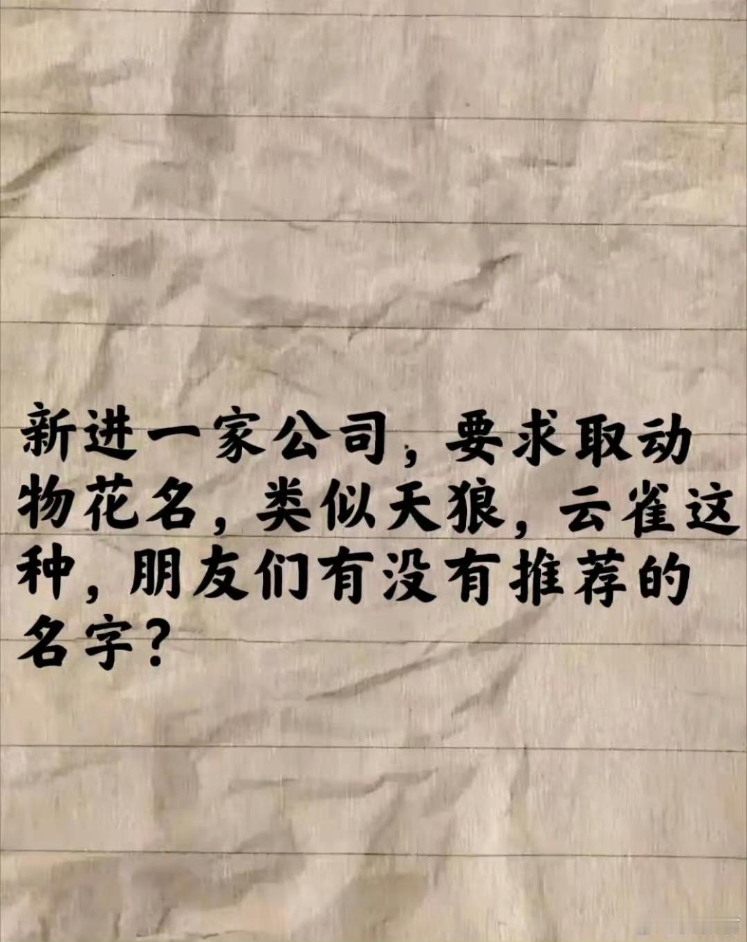 新进一家公司，要求取动物花名，类似天狼，云雀这种，朋友们有没有推荐的名字？​
