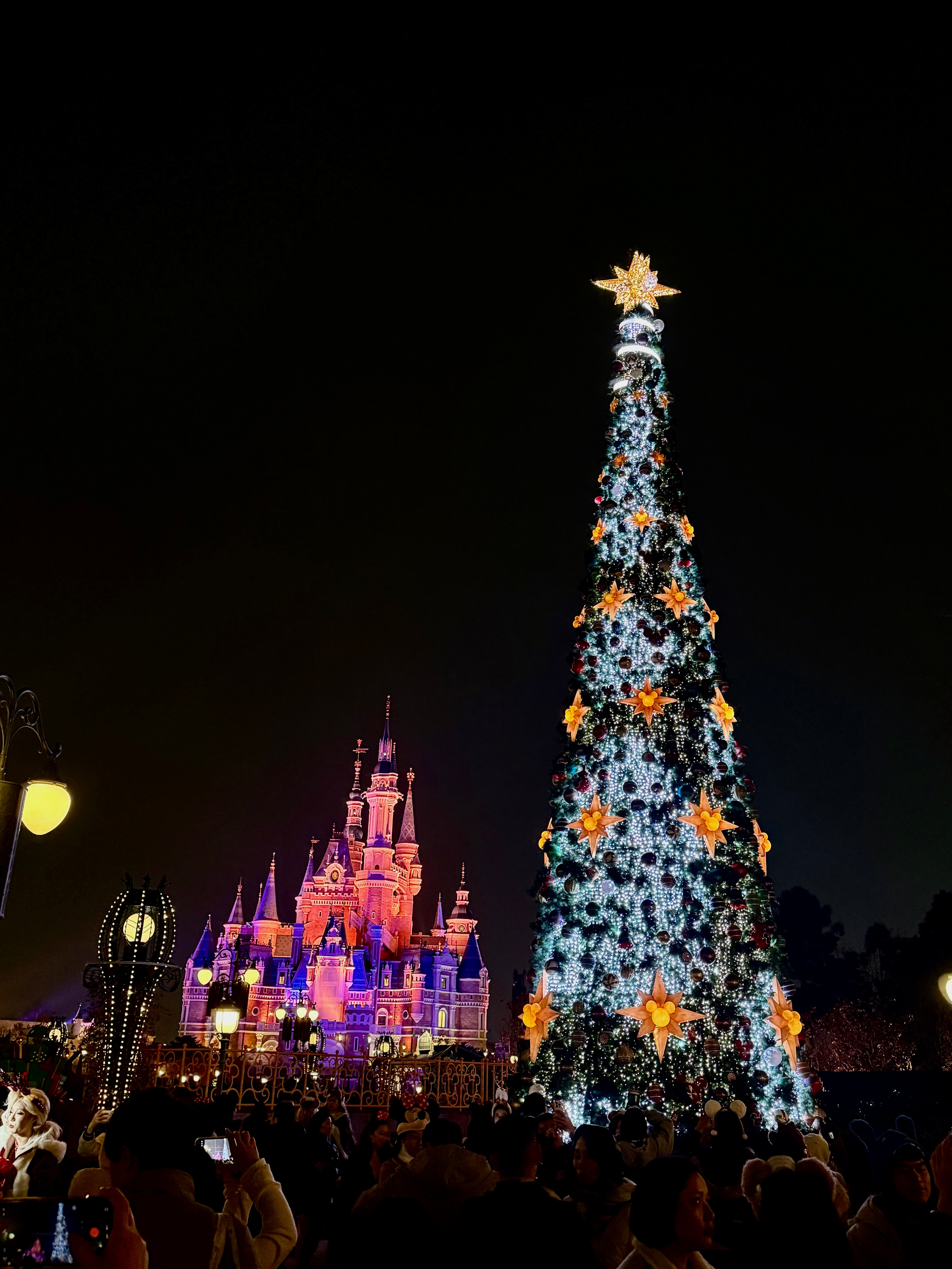 🎄❆.*DisneyChristmas₊❅🏰上海·上海迪士尼度假区
