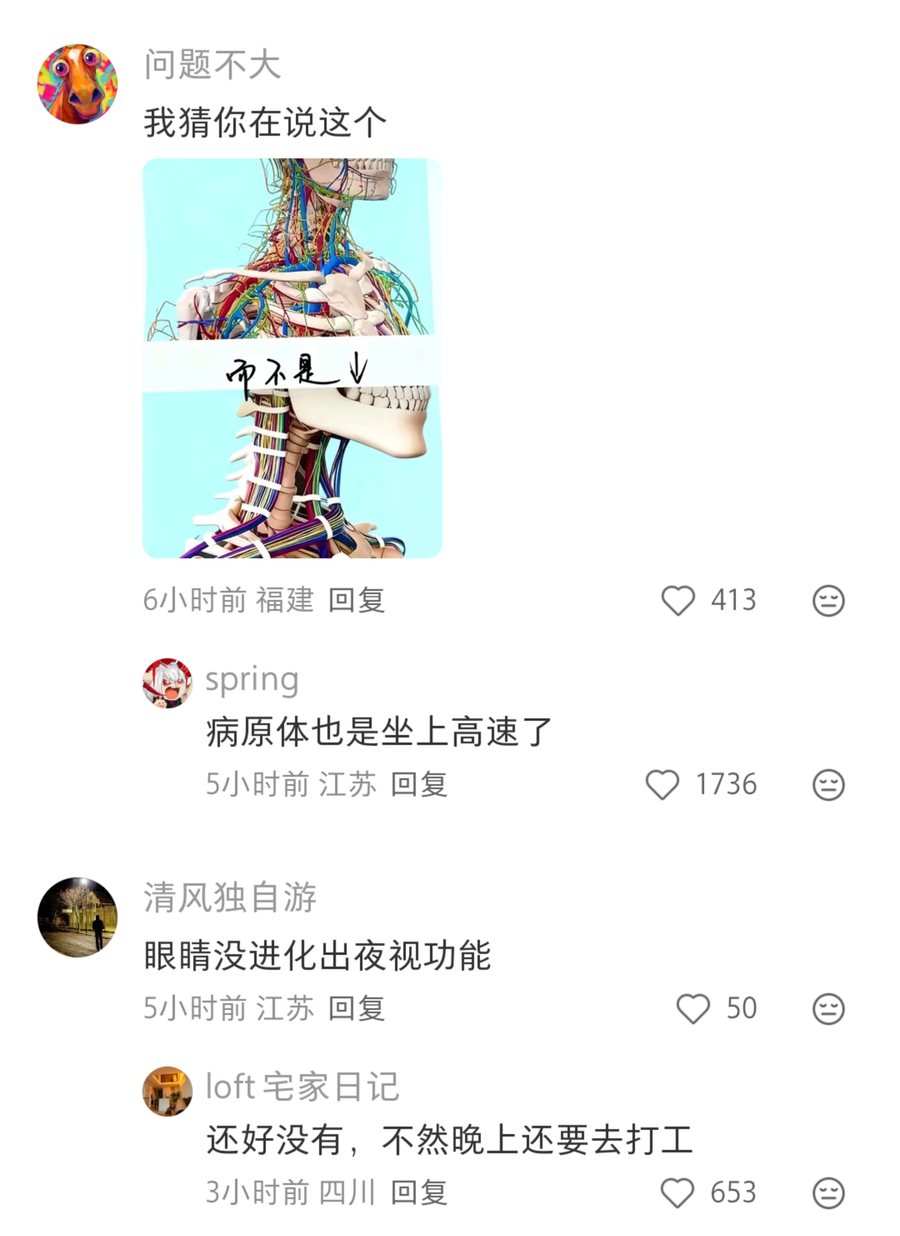 人体这也太不合理了