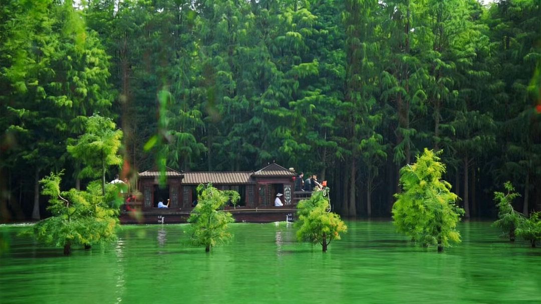不用去乌镇人挤人🚣♀️江汉平原藏着的水墨江南画舫+水上森林+非遗+美食一站式搞