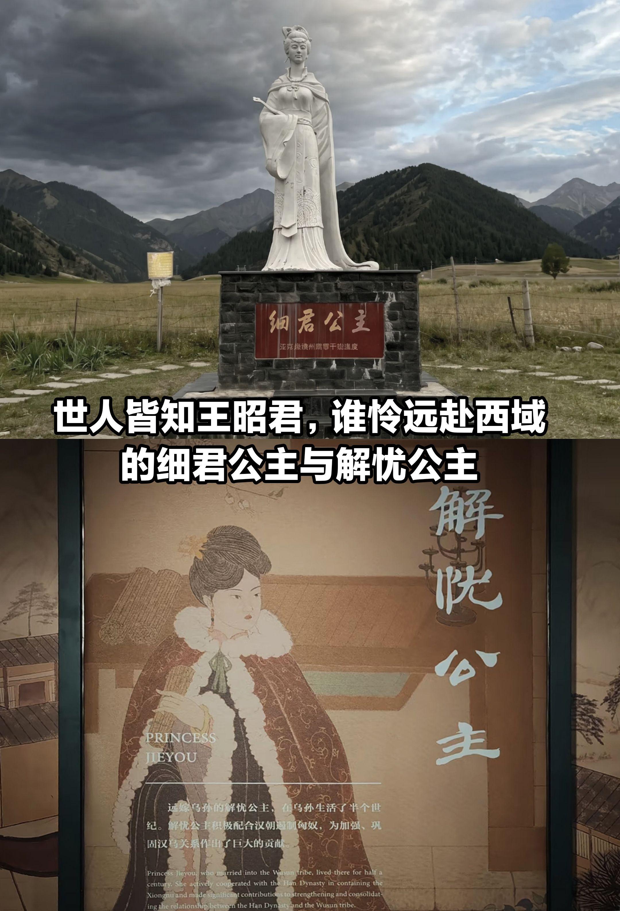 世人皆知王昭君，谁怜远赴西域的细君与解忧。