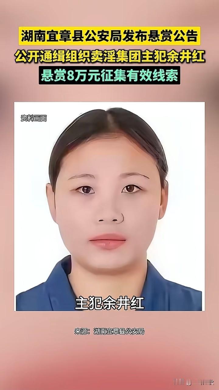 举报违法犯罪行为人人有责。余井红女，27岁。组织卖淫集团主犯。悬赏8万元征集有