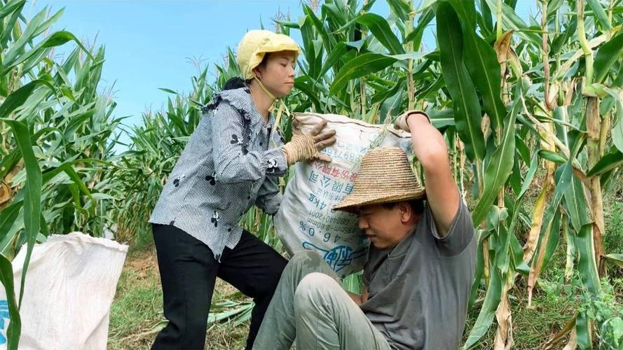 不知大家发现没有，有的男人情商高，善于哄女人。结婚以后多少年，遇到情人节、5.2